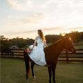 jones-valley-farms-horse