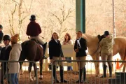 jones-valley-farms-horse