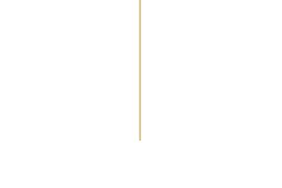 A wooden stick is hanging from a rope on a white background.