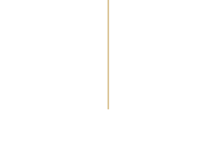 A wooden stick is hanging from a rope on a white background.
