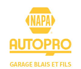 NAPA Auto Pro