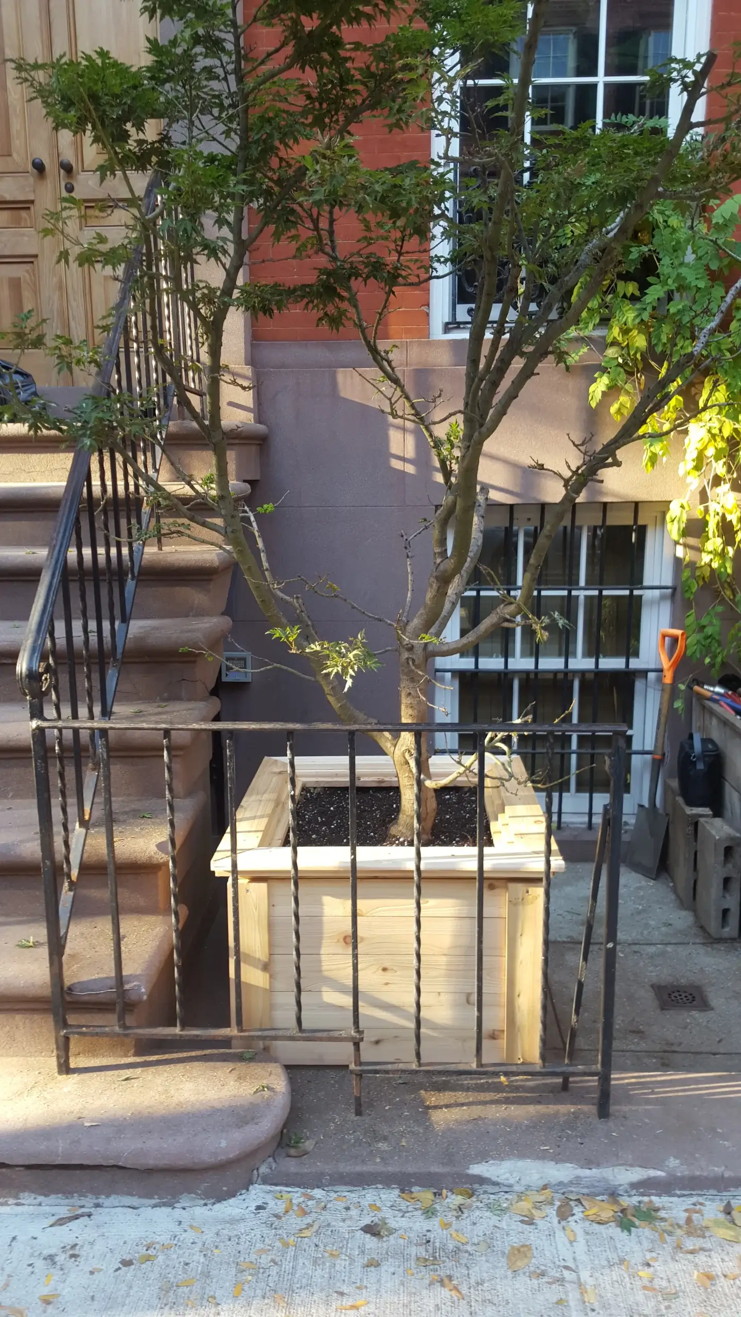 A tree in a wooden planter is in front of stairs