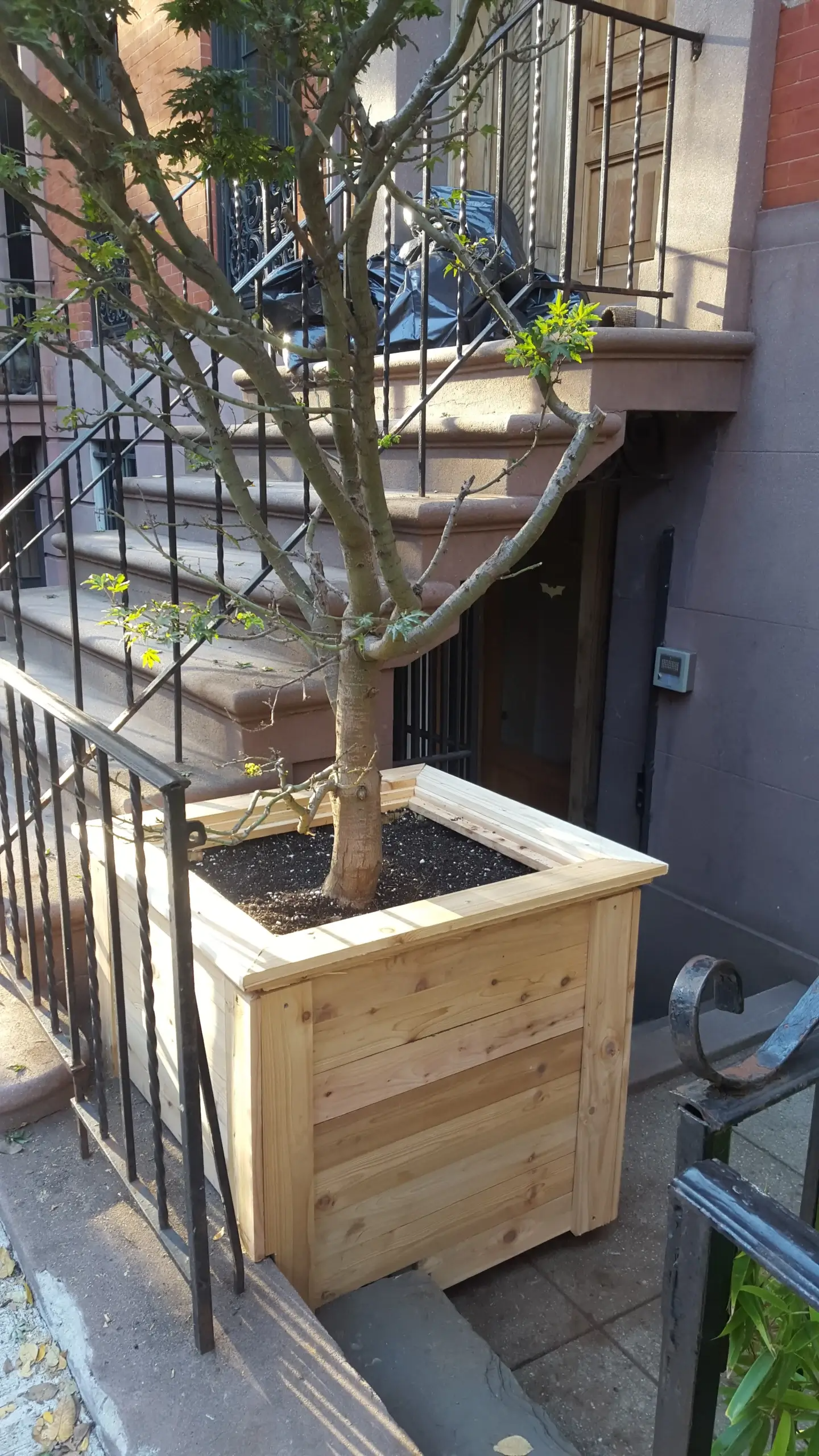 A large wooden planter with a tree in it is on a sidewalk next to stairs.