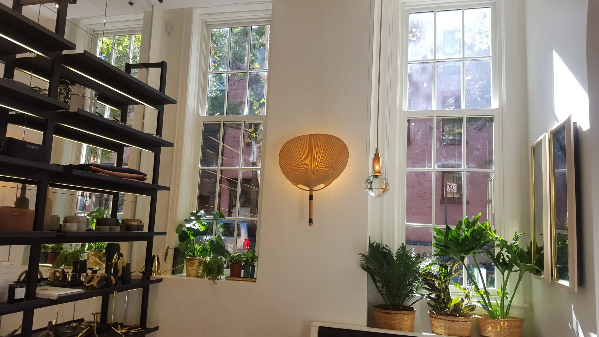 A room with a fan on the wall and plants on the shelves