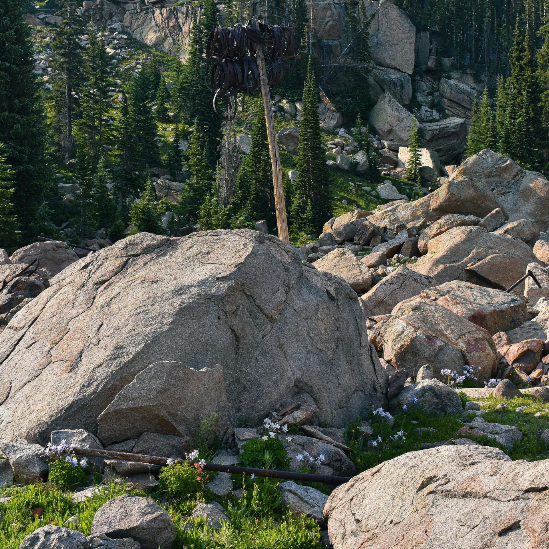 Large granite boulders and vegetation in a mountain landscape, with a tall nest on a pole.