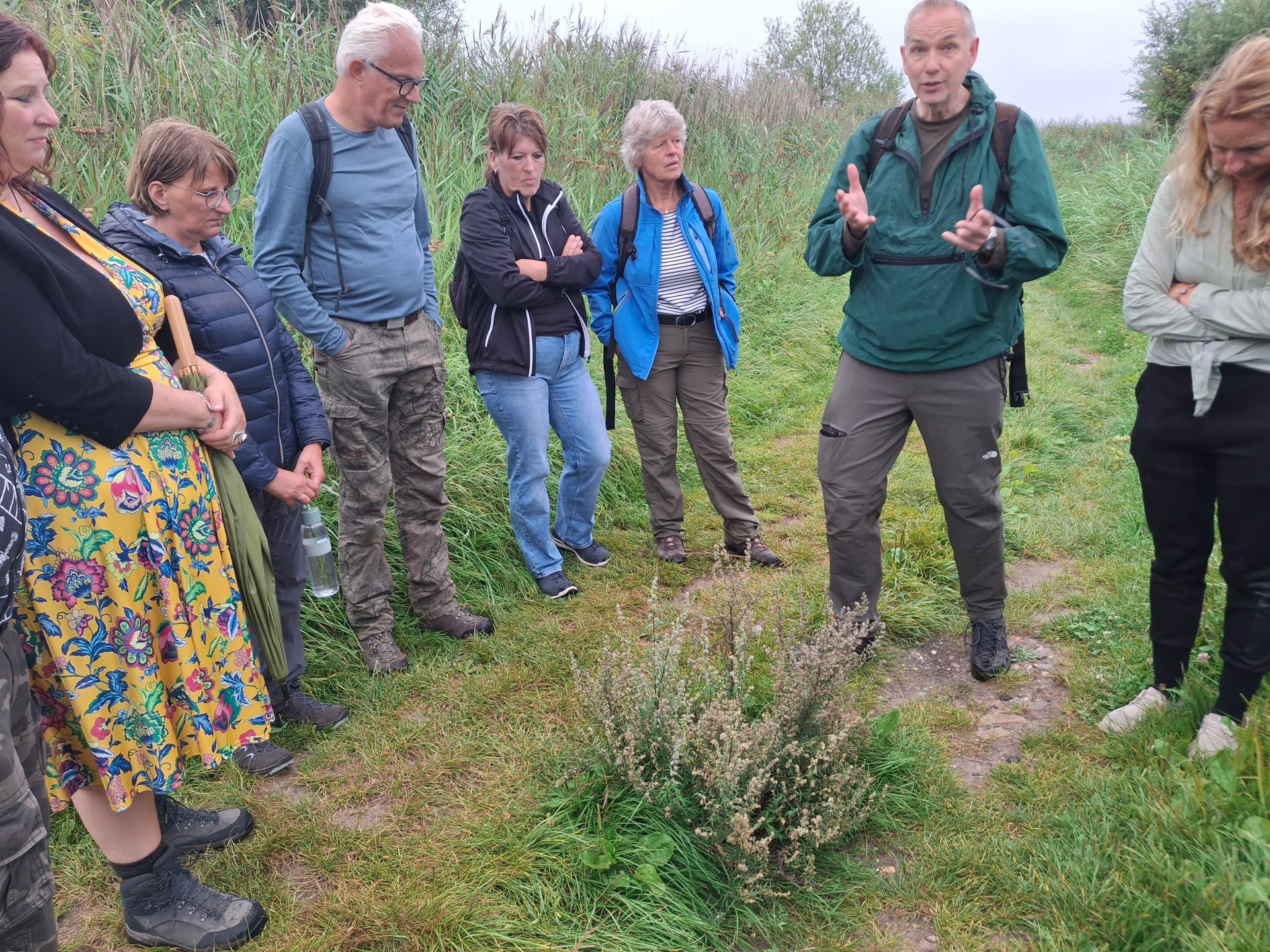 Verwonderwandeling