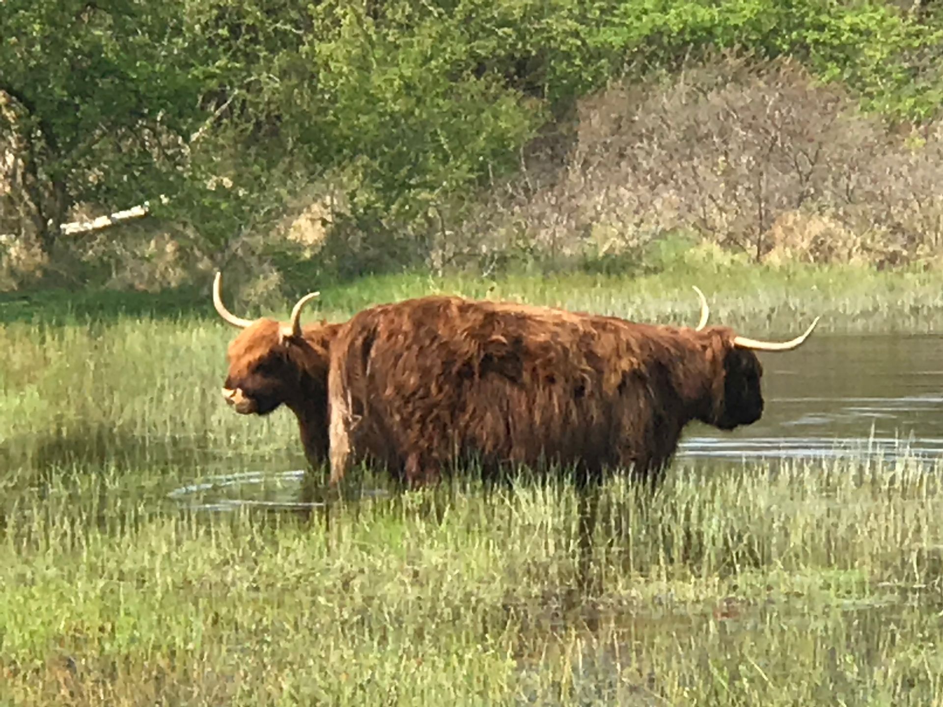 Verwonderwandeling