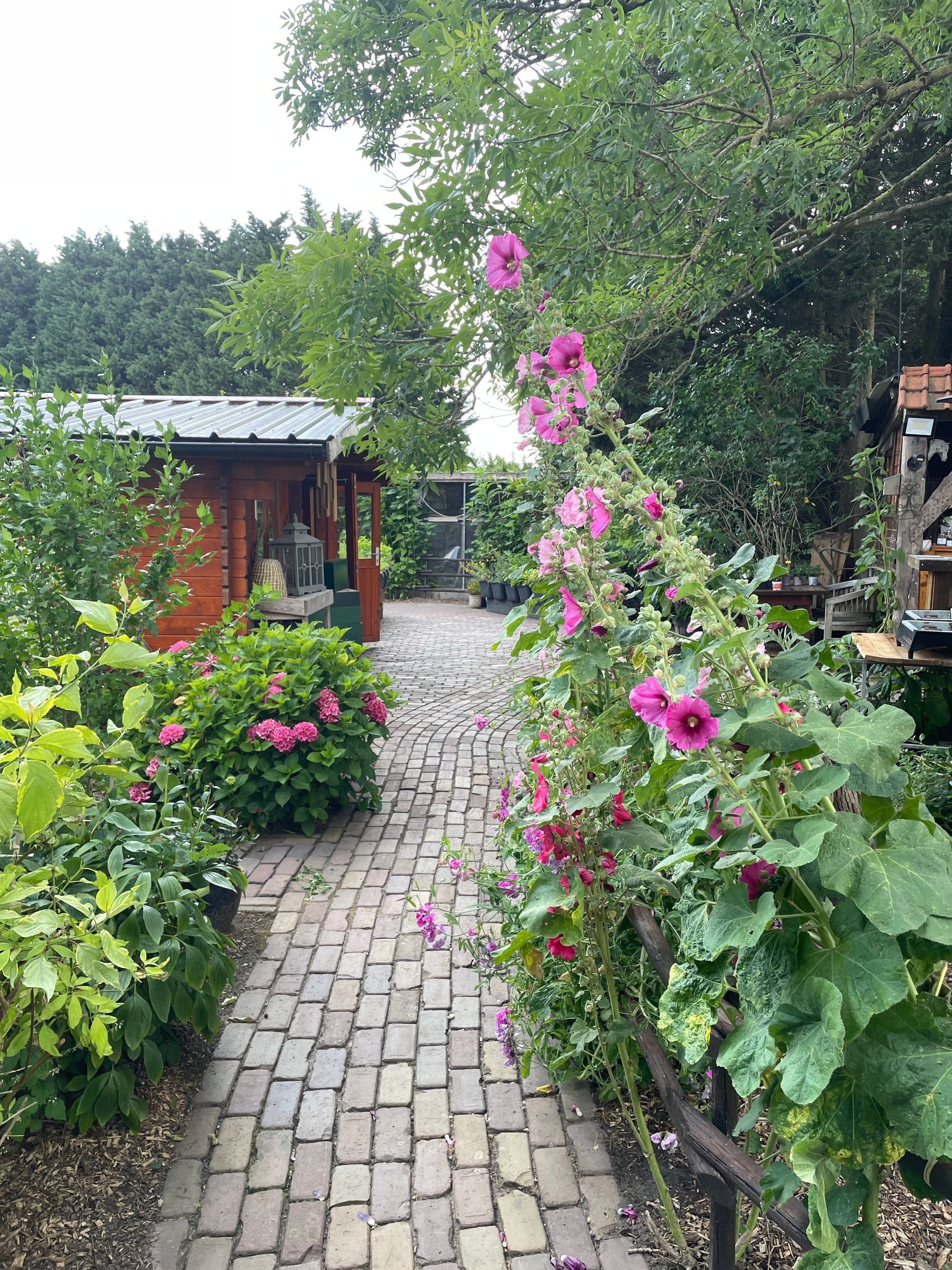 Verwonderwandeling