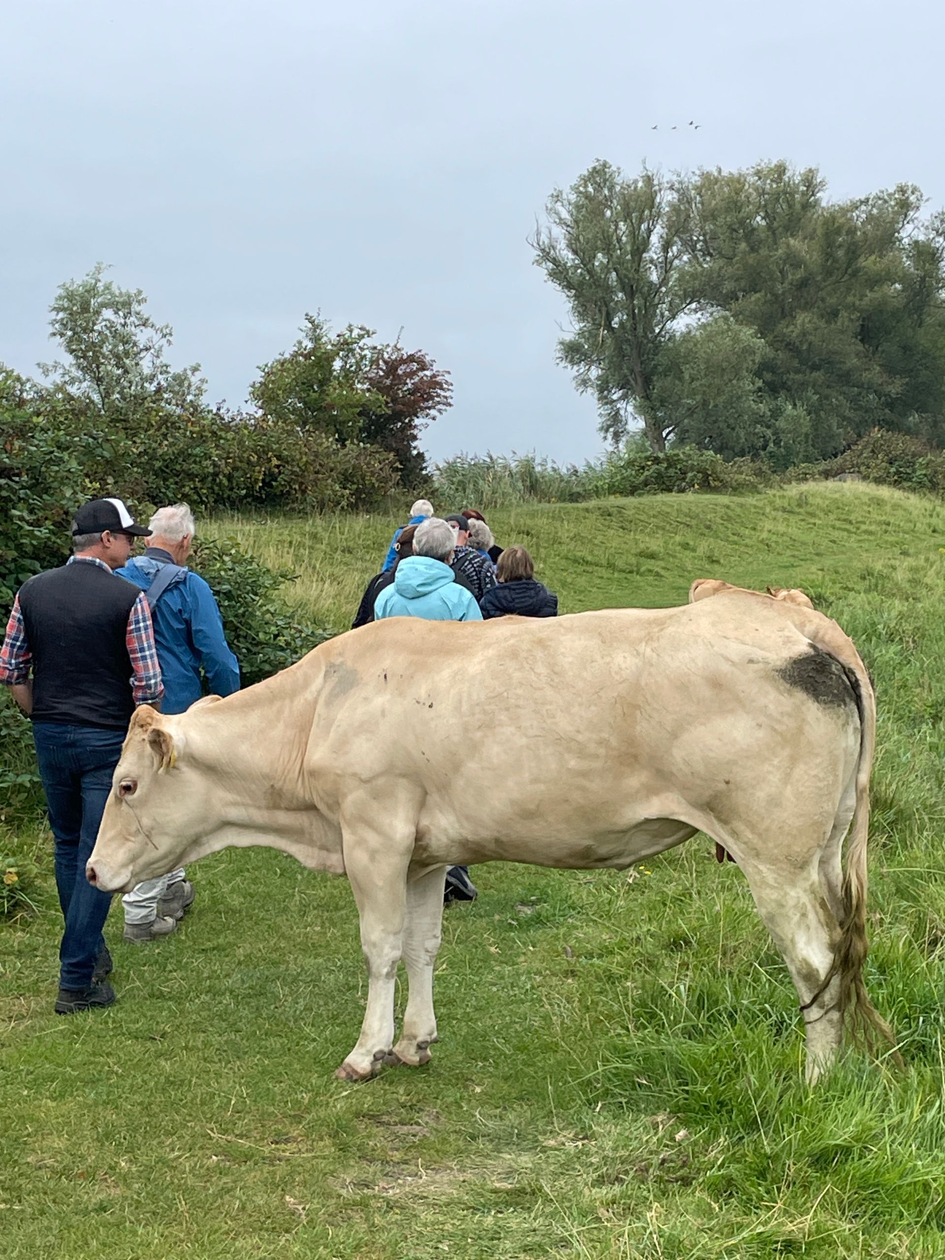 Verwonderwandeling