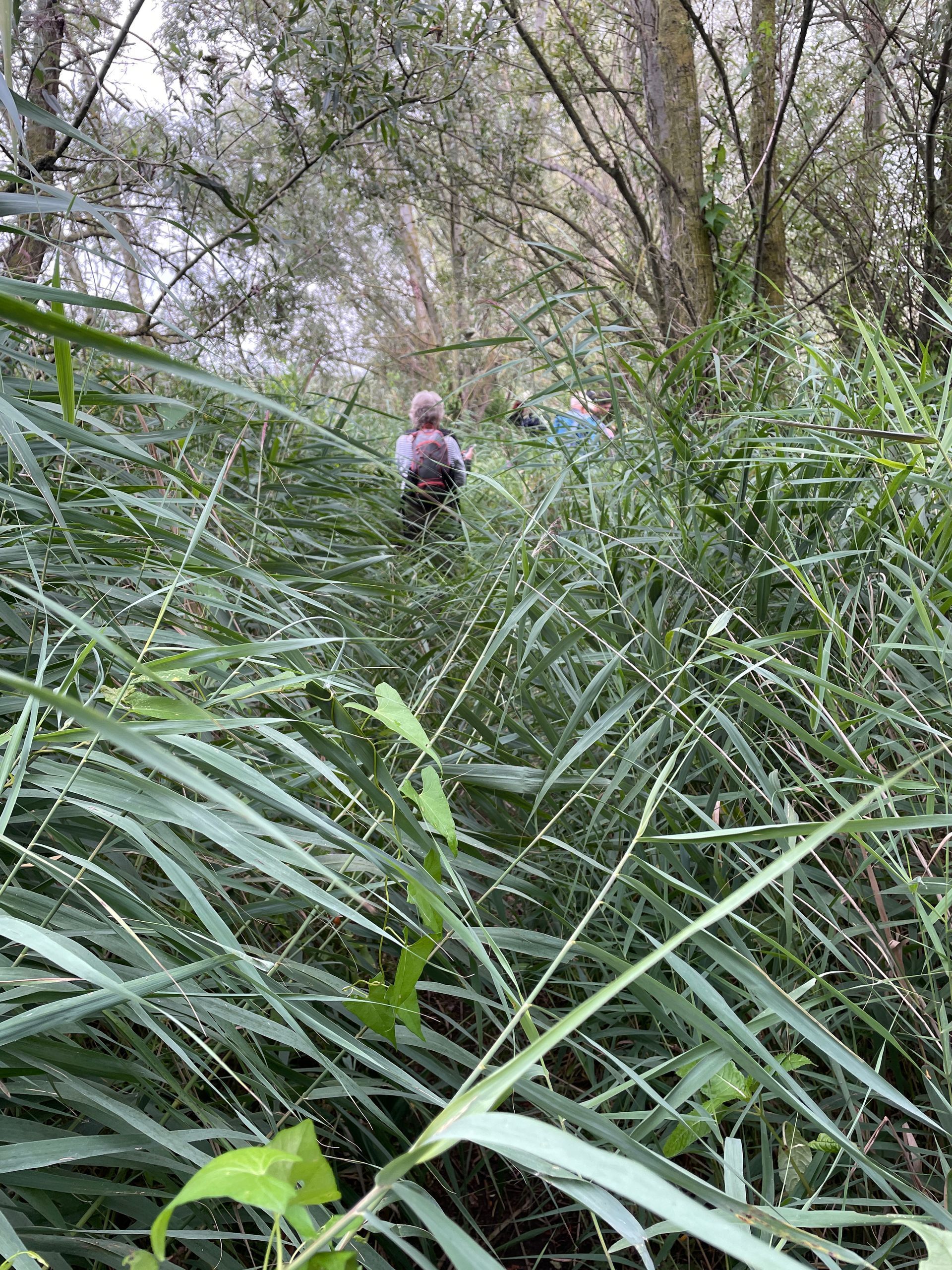 Verwonderwandeling