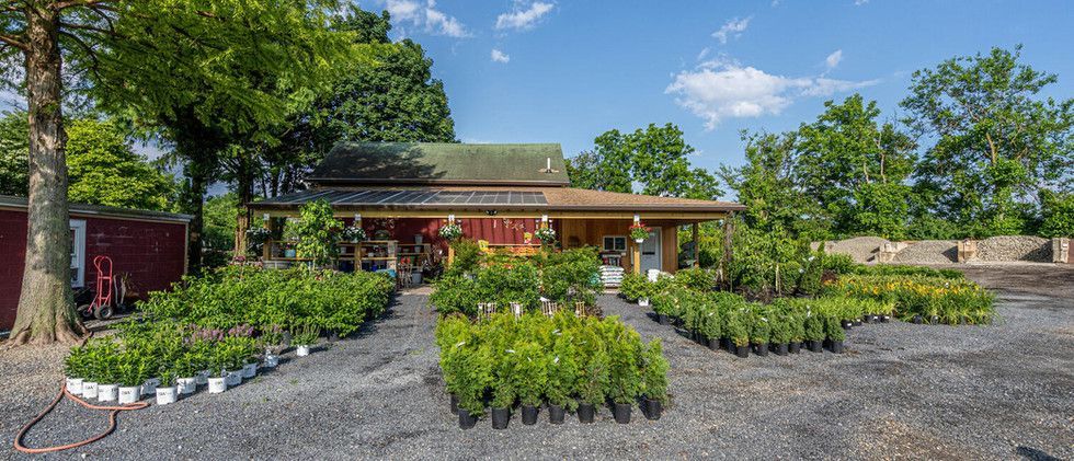 A garden nursery with rows of green plants in front of a brick building under a blue sky.