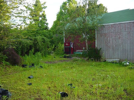 Grassy yard beside a weathered barn and trees, with a red shed in the background.