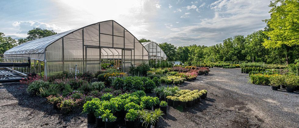 Greenhouse with rows of potted plants and flowers on a sunny nursery grounds