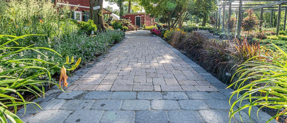Stone garden path lined with lush greenery and red flowers leading to a house entrance