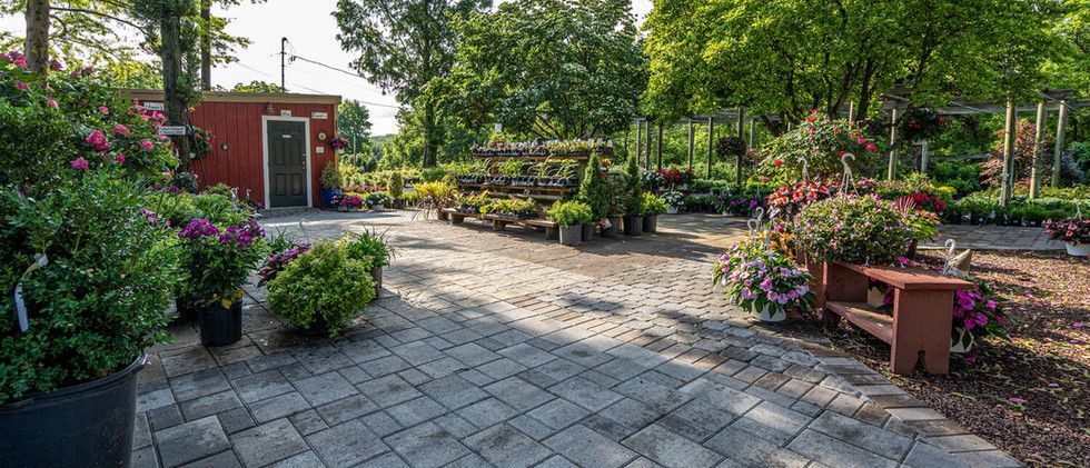 Sunlit garden patio with paver path, colorful flower beds, benches, and a small red shed