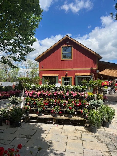Red barn-style building behind rows of pink flowers in a sunny garden courtyard