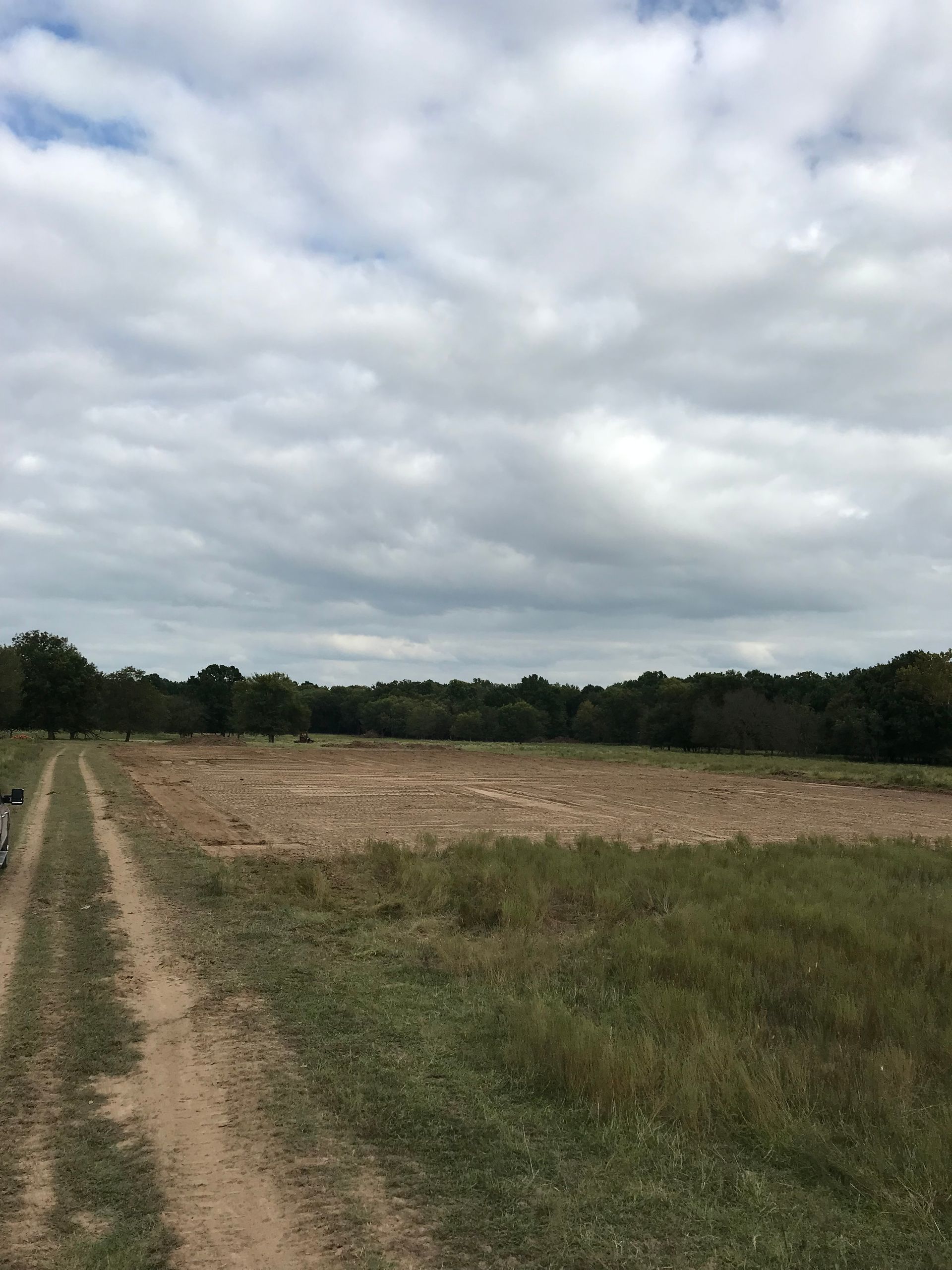 A dirt path leads to a large, tilled field under a cloudy sky, bordered by a dense line of dark green trees.