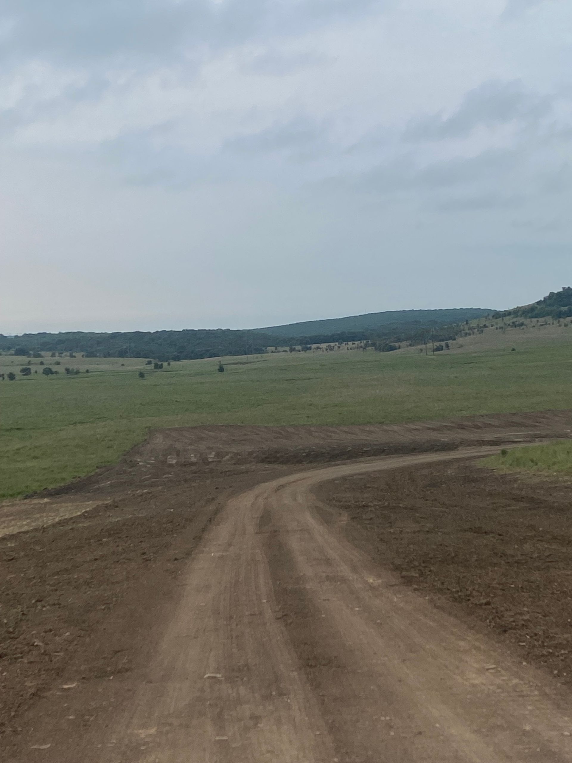 A dirt path leads through a grassy field toward a treeline under a cloudy sky.