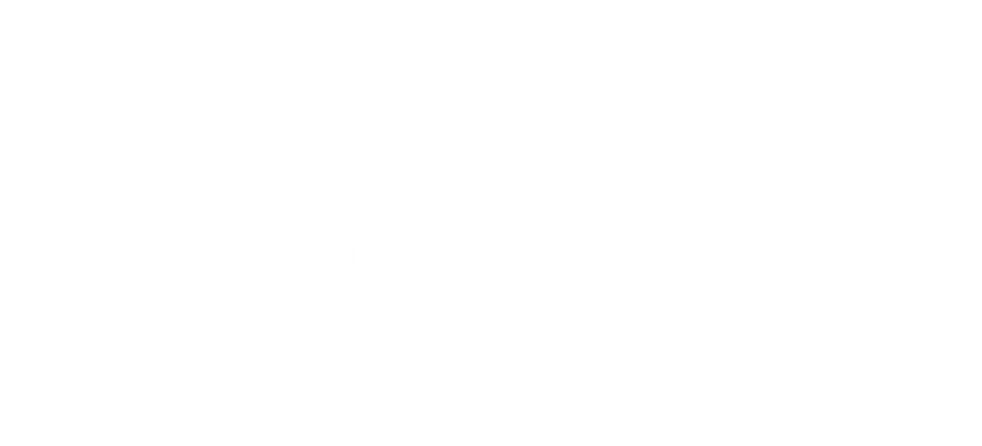 White grunge-style header banner design at Wildflower Inn Sedona