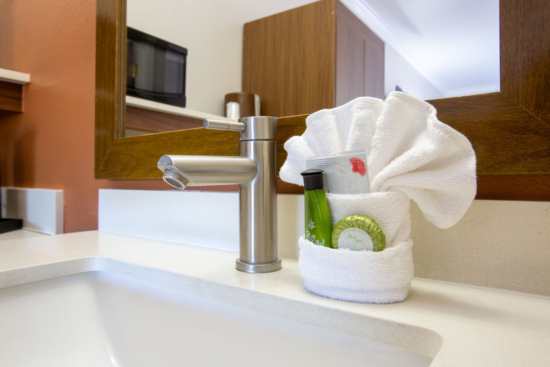 Modern bathroom with vanity and walk-in shower in Ground Level Queen Retreat at Wildflower Inn