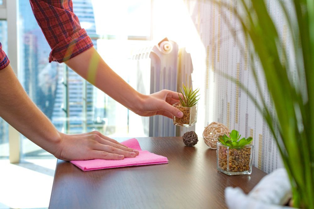 Person wiping a wooden surface with a pink cloth, arranging potted plants near a window.