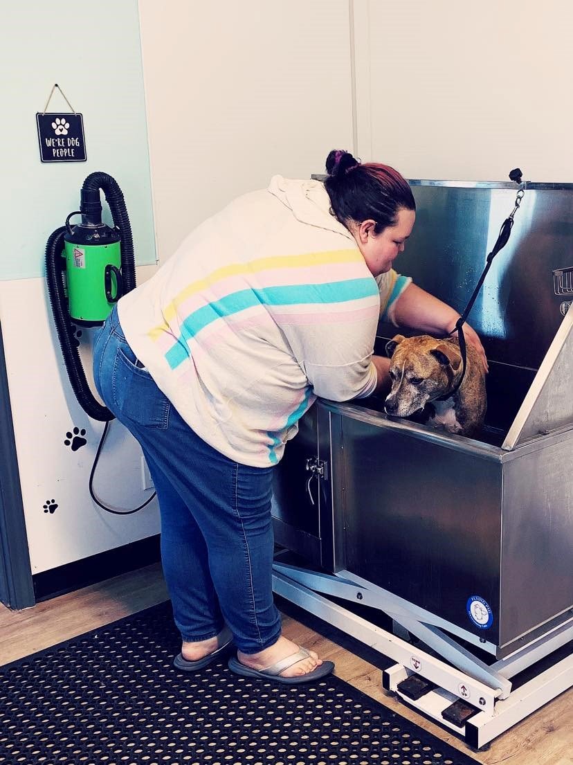 SelfGrooming Dayton, OH Pawsitively Perfect Grooming