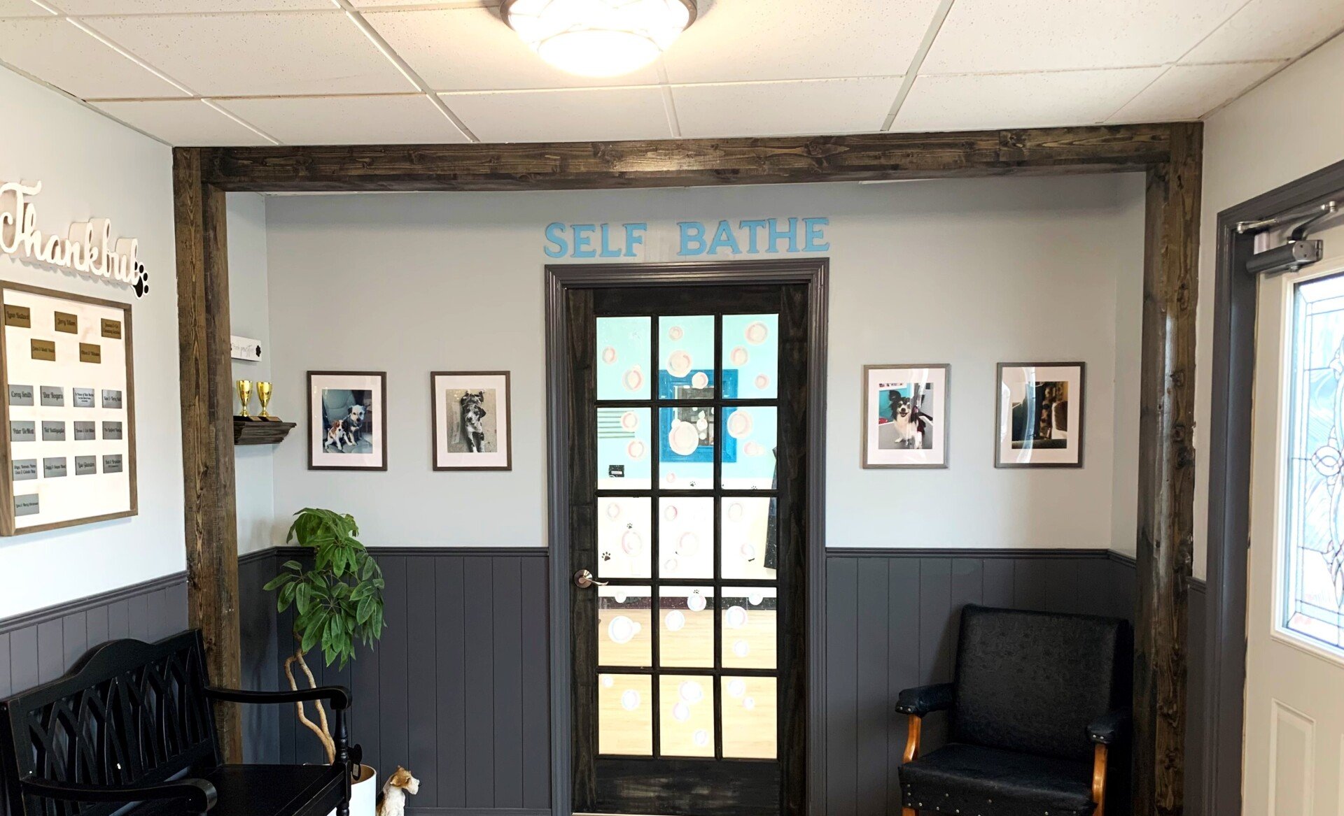 SelfGrooming Dayton, OH Pawsitively Perfect Grooming