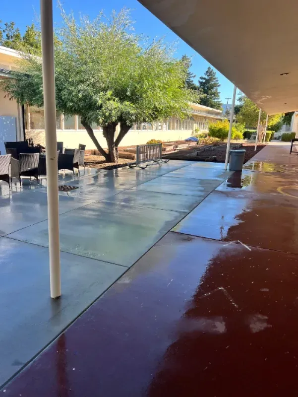 Shaded outdoor patio with chairs, trees, and a wet concrete walkway beside a covered building.