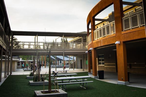 Modern courtyard with picnic tables, trees, and orange wood-clad building under a covered walkway