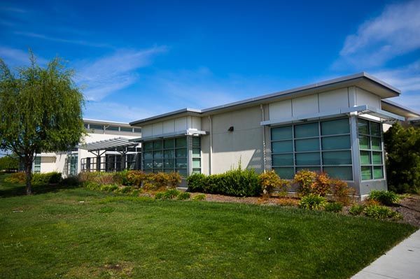Modern white building with large windows, green lawn, and blue sky