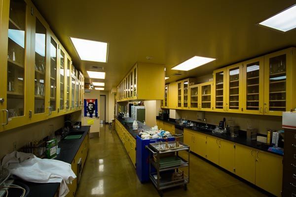 Bright yellow chemistry lab with cabinets, sinks, counters, and a central worktable under fluorescent lights