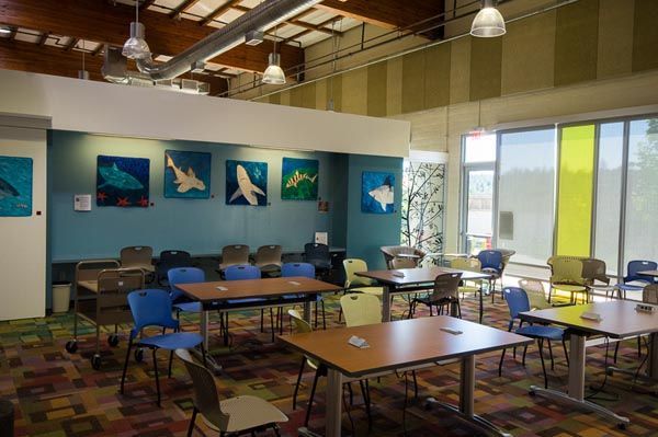 Empty classroom with tables, blue chairs, ocean-themed wall art, and large windows letting in daylight