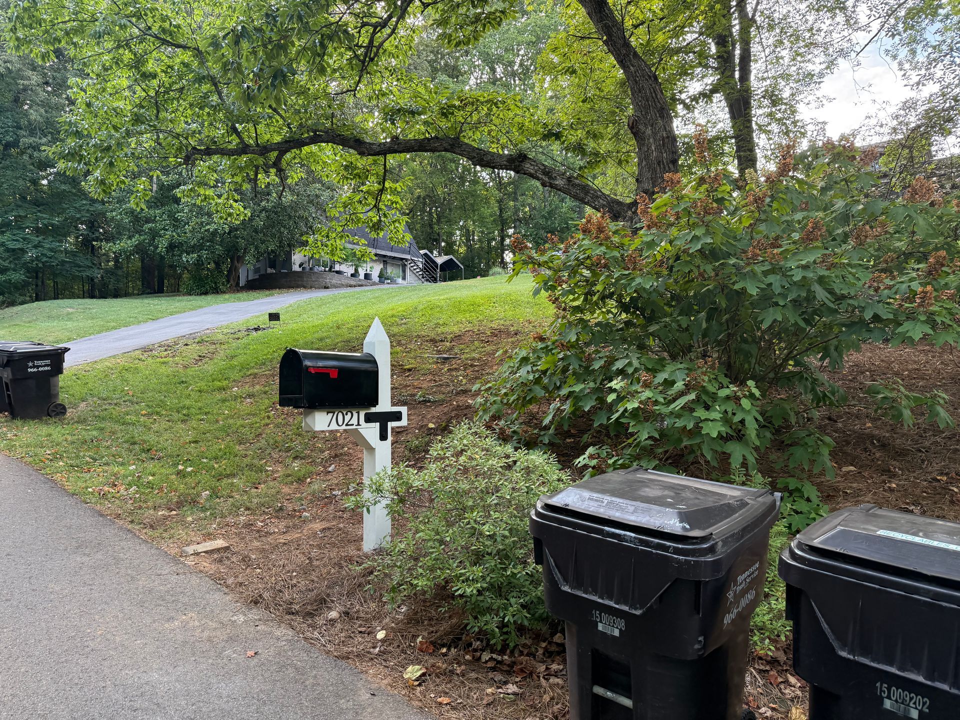 A mailbox and trash cans are sitting on the side of a road.