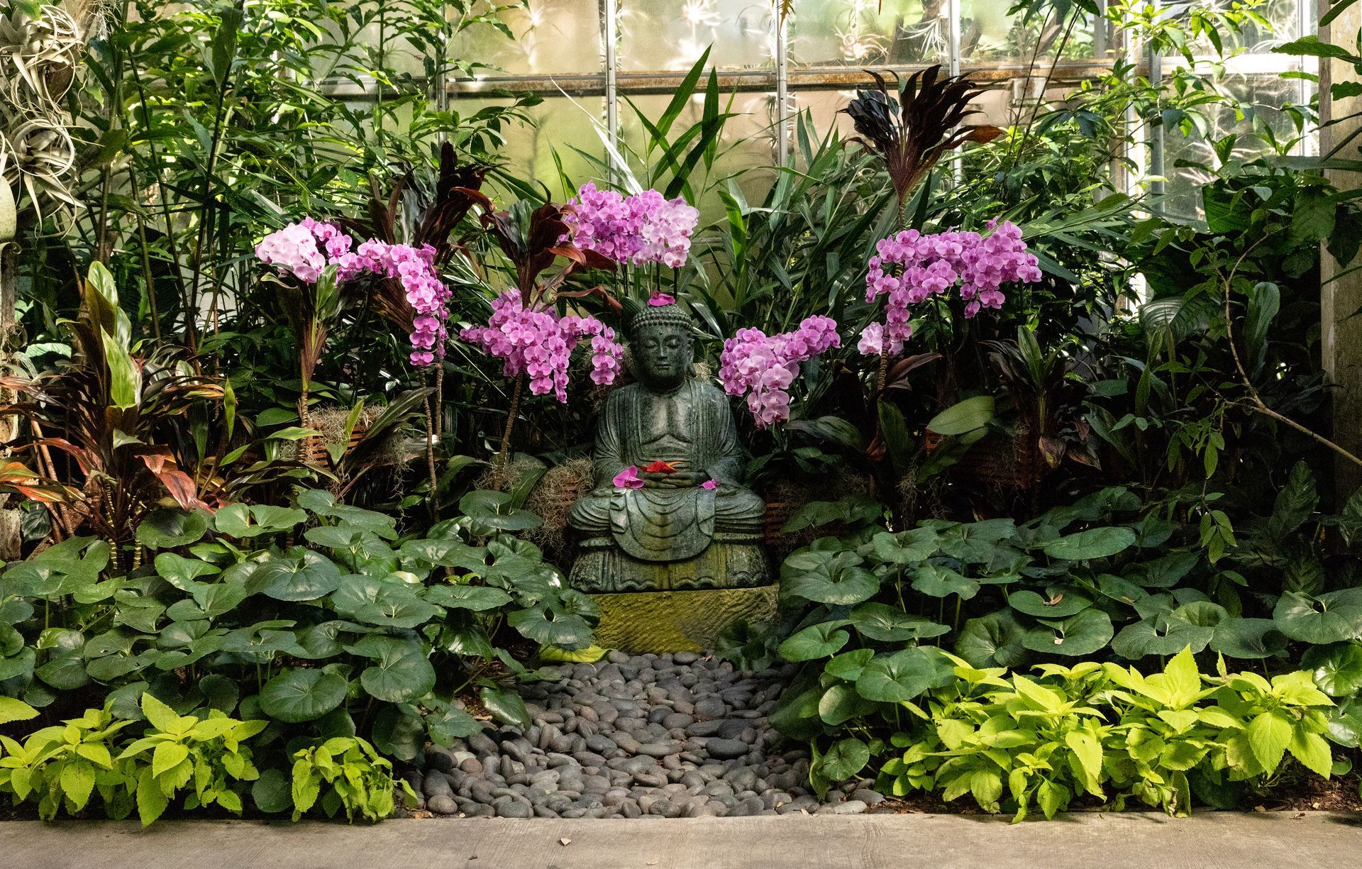 flower-garden