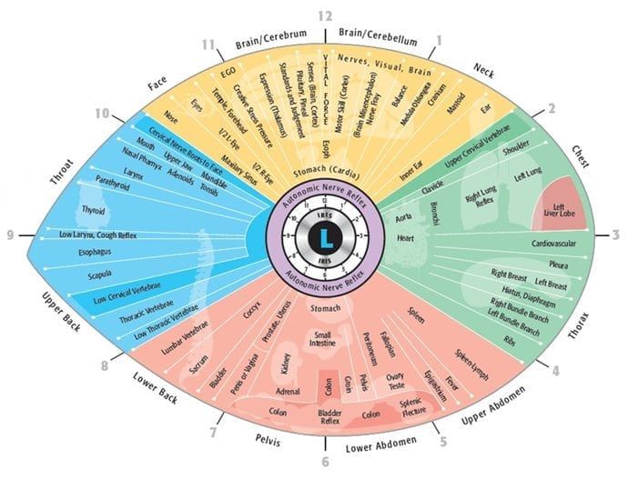 Colorful circular left eye diagram with labeled sections for different modes and functions