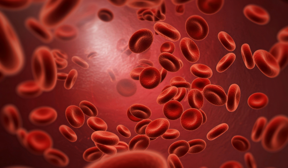 Red blood cells flowing through a blood vessel