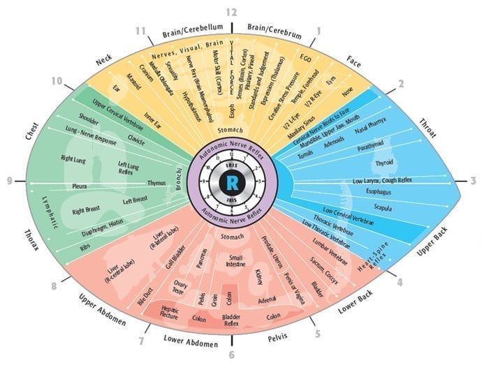 Colorful circular right eye diagram with labeled sections for different modes and functions