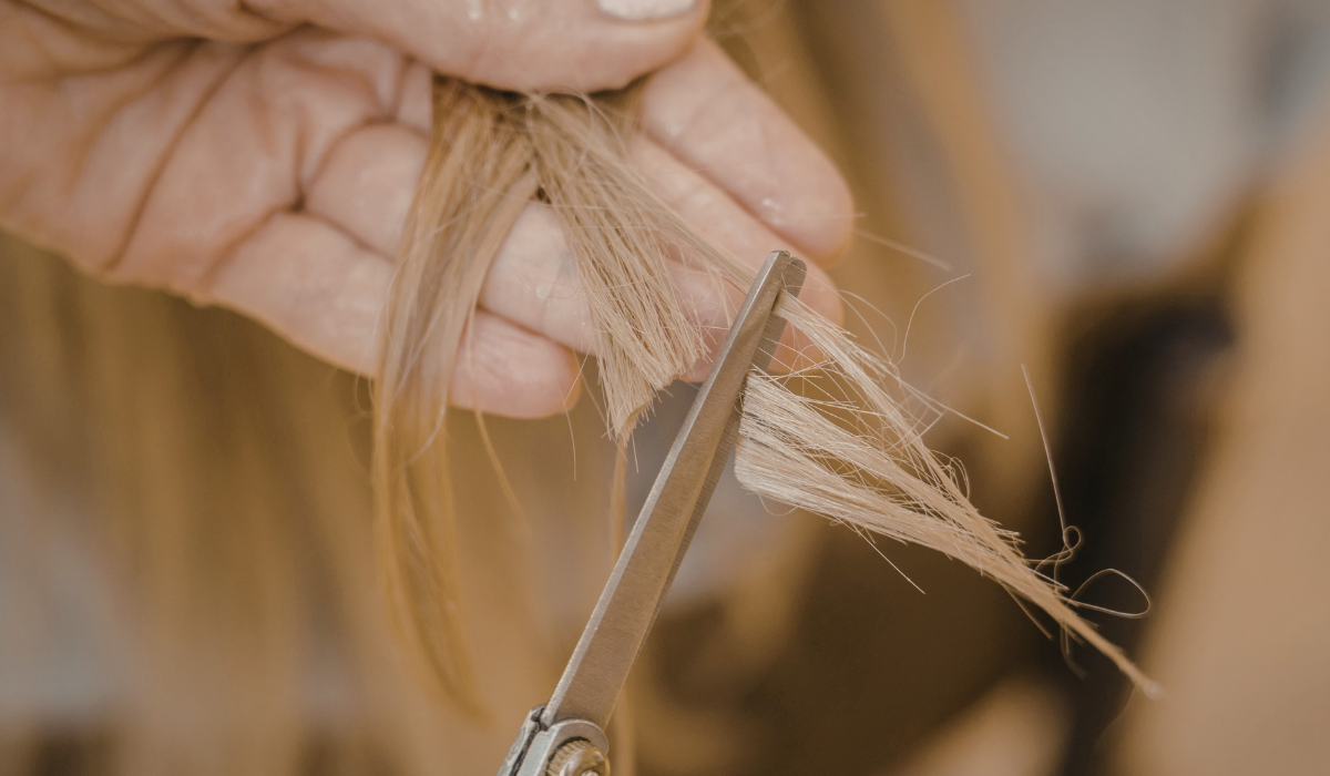 Hand cutting wet blonde hair with scissors close-up