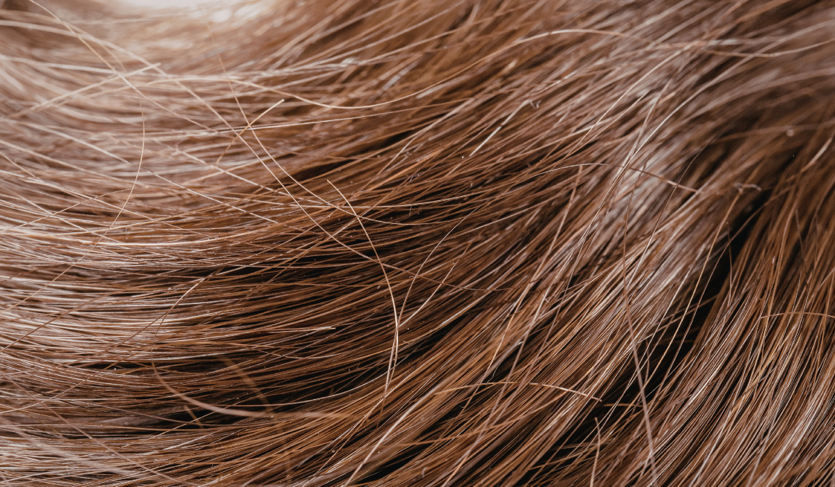 Close-up of brown hair strands with subtle highlights and a soft, textured flow