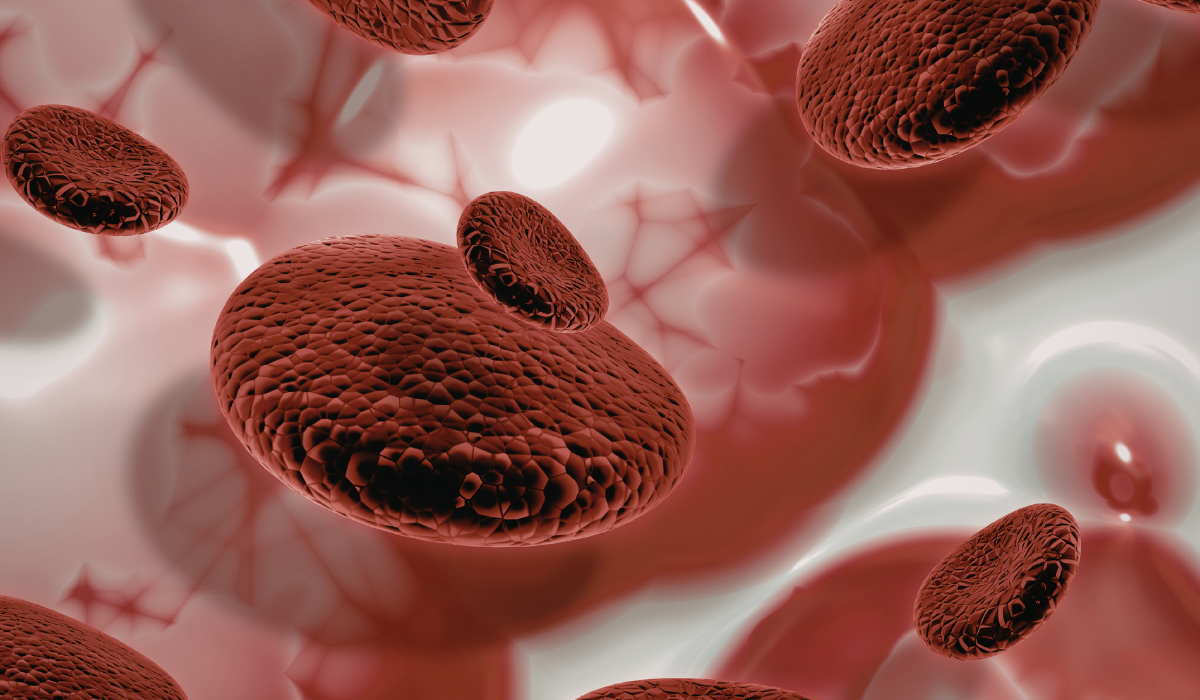 Red blood cells flowing through a blood vessel, shown in close-up.