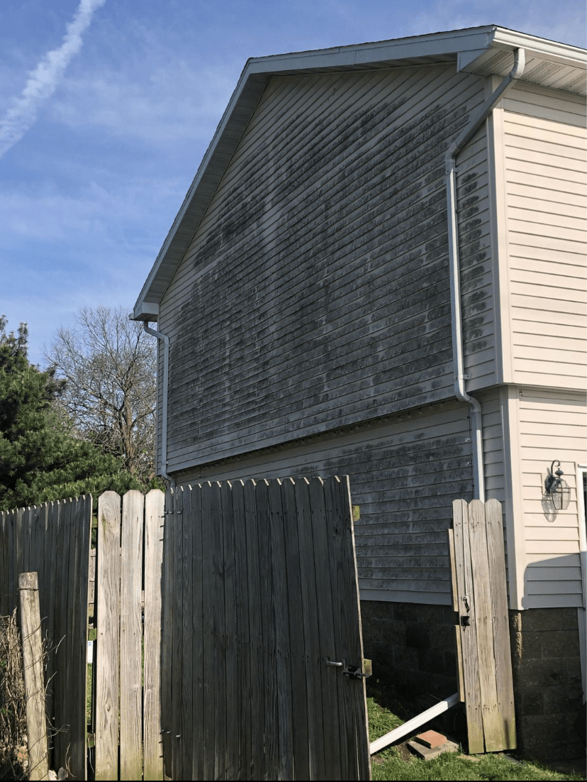 Before Cleaning The Siding — Springfield, IL — Midwest Power/Soft Washing