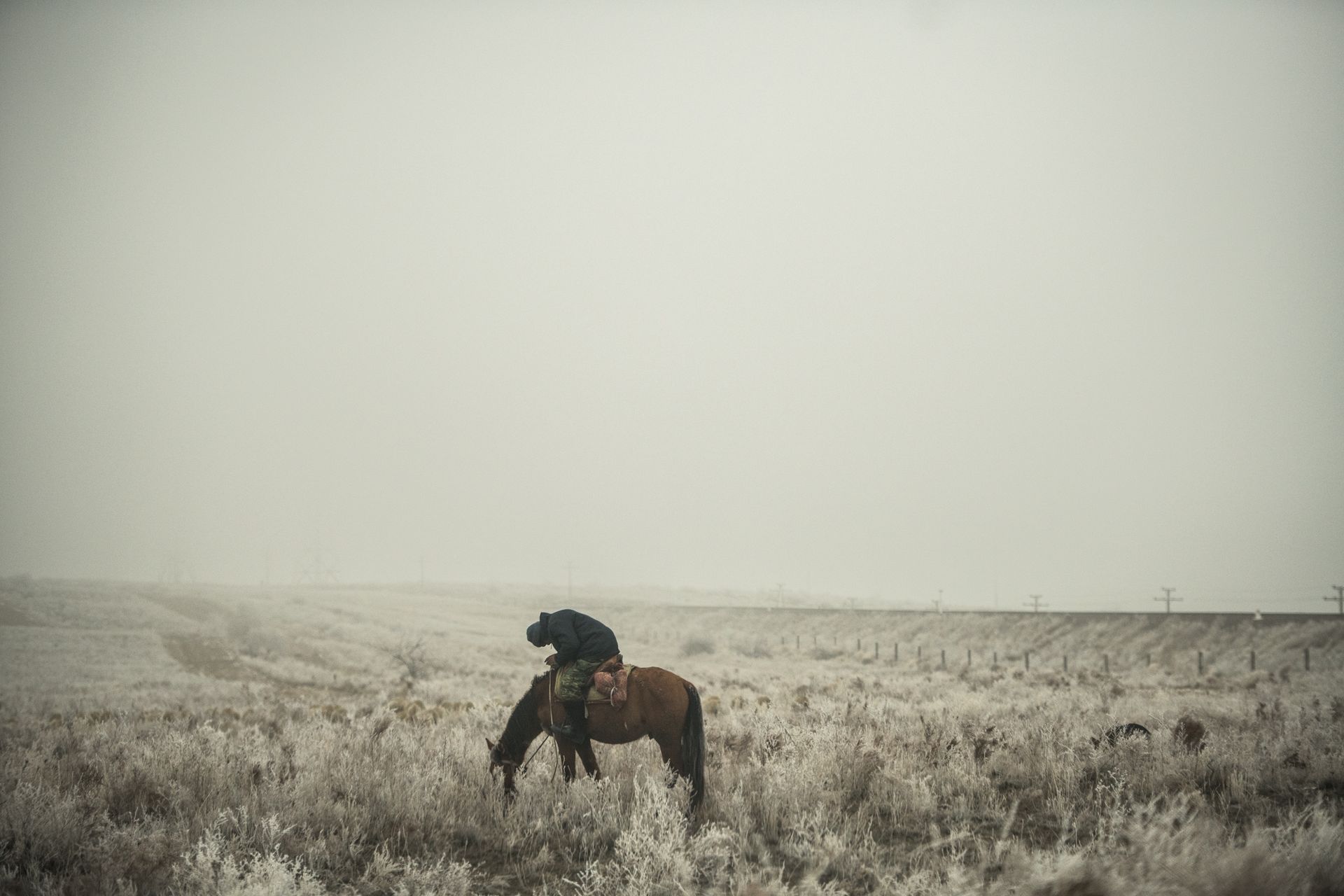 Kazakh Cowboy