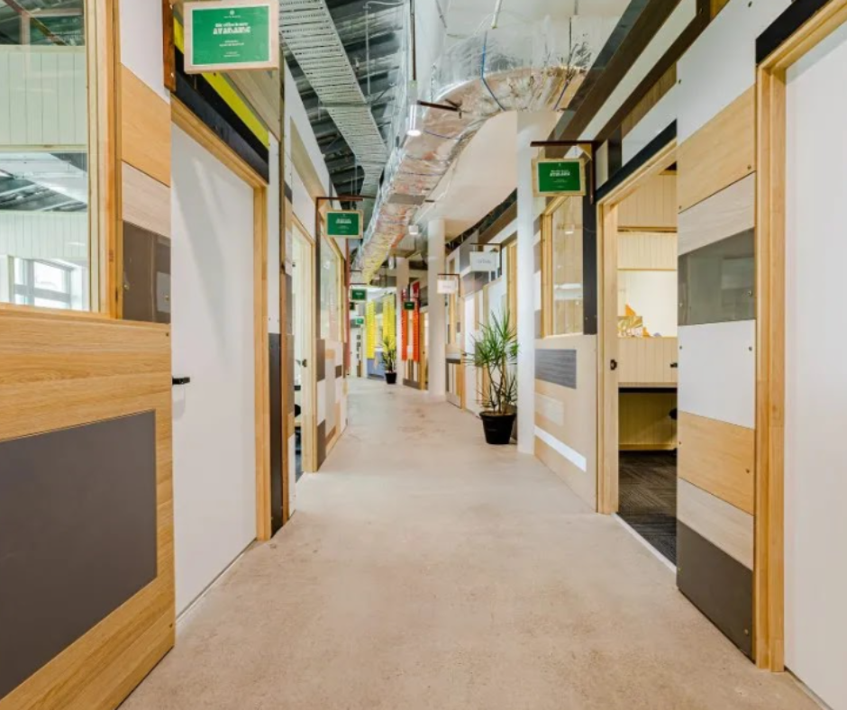 Modern office hallway with glass-walled rooms, wood doors, and carpeted floor