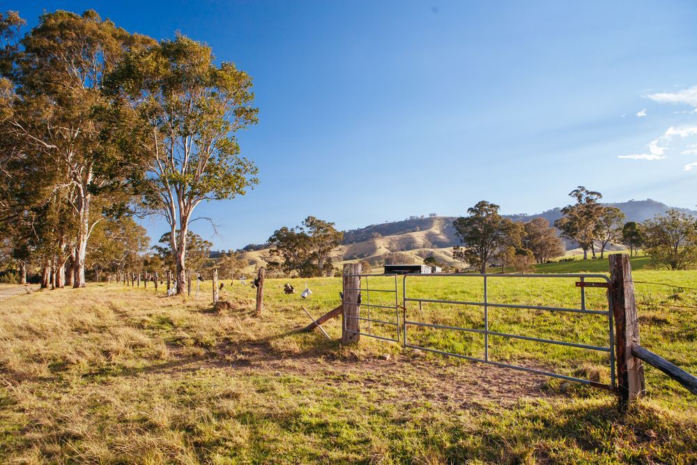 Sunny Rural Field With a Metal Gate, Trees, and Hills Under a Clear Blue Sky — Concrete Colour Solutions in Dungog, NSW