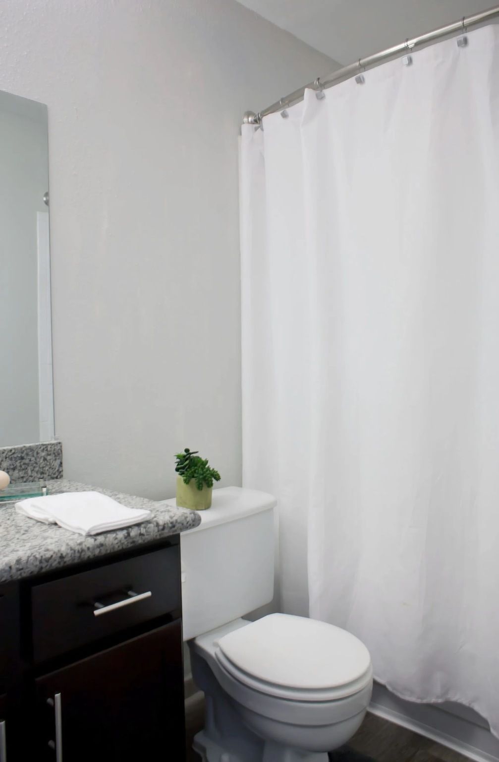 Bathroom with granite countertop, white toilet, shower curtain, and a small plant.