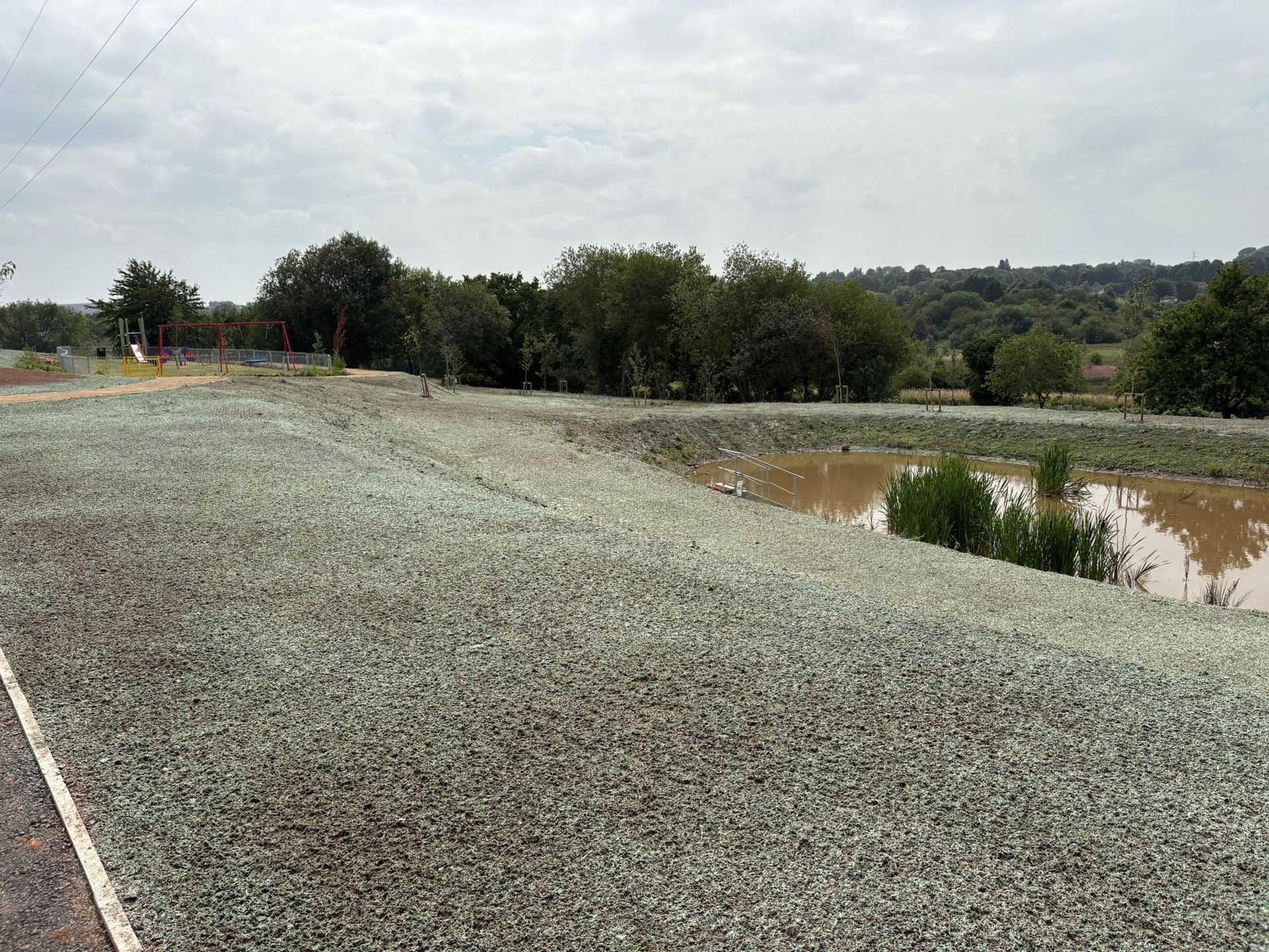 A recently hydroseeded SUDS pond at the Daresbury housing development. 