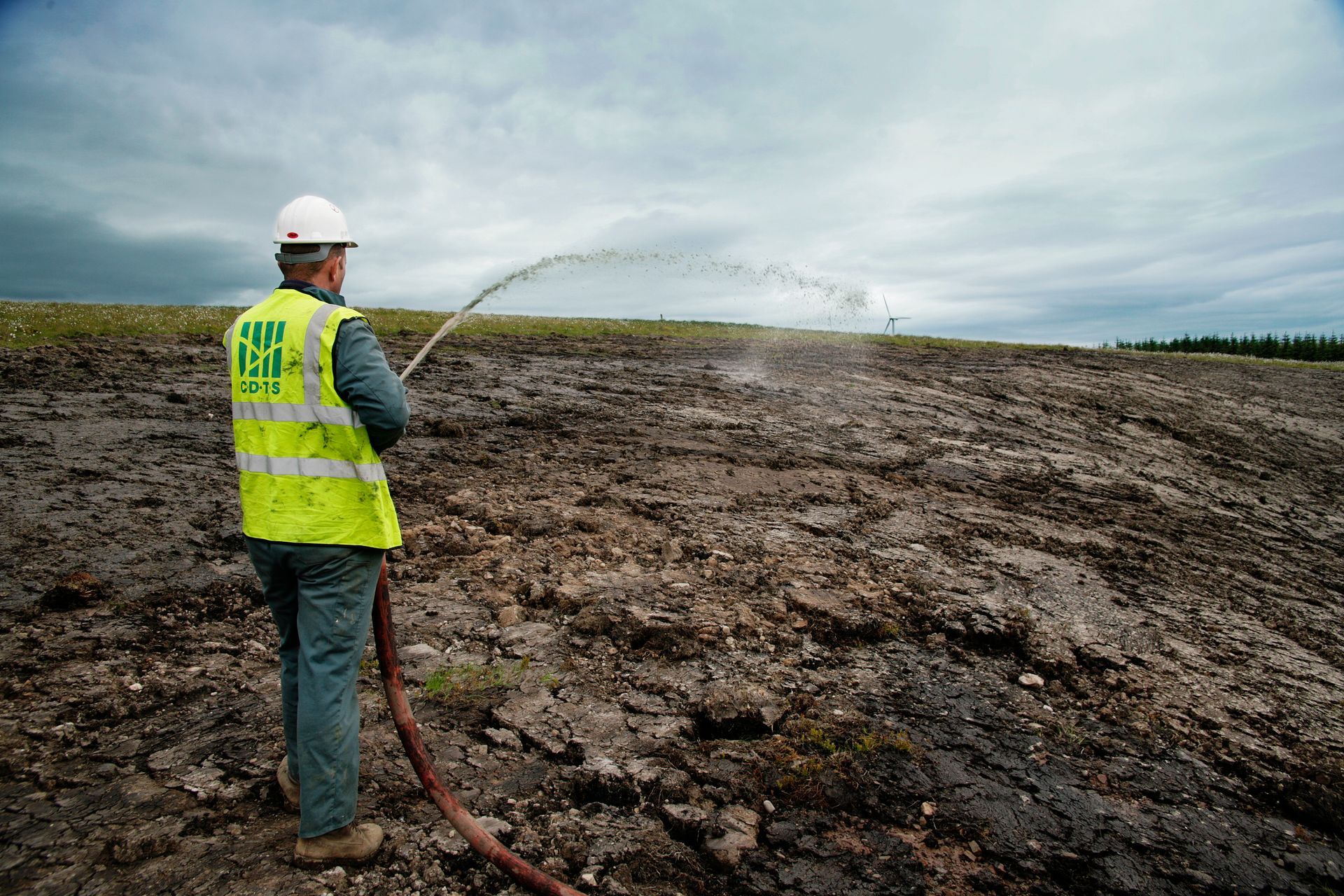 Hydroseeding with tackifiers on a moderate slope embankment