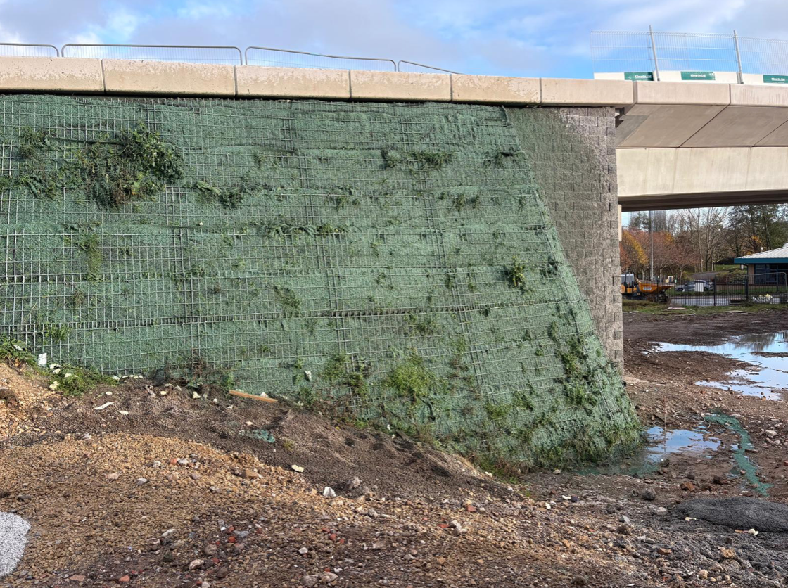 Green mesh-covered wall with vegetation, under a concrete bridge with a light blue sky