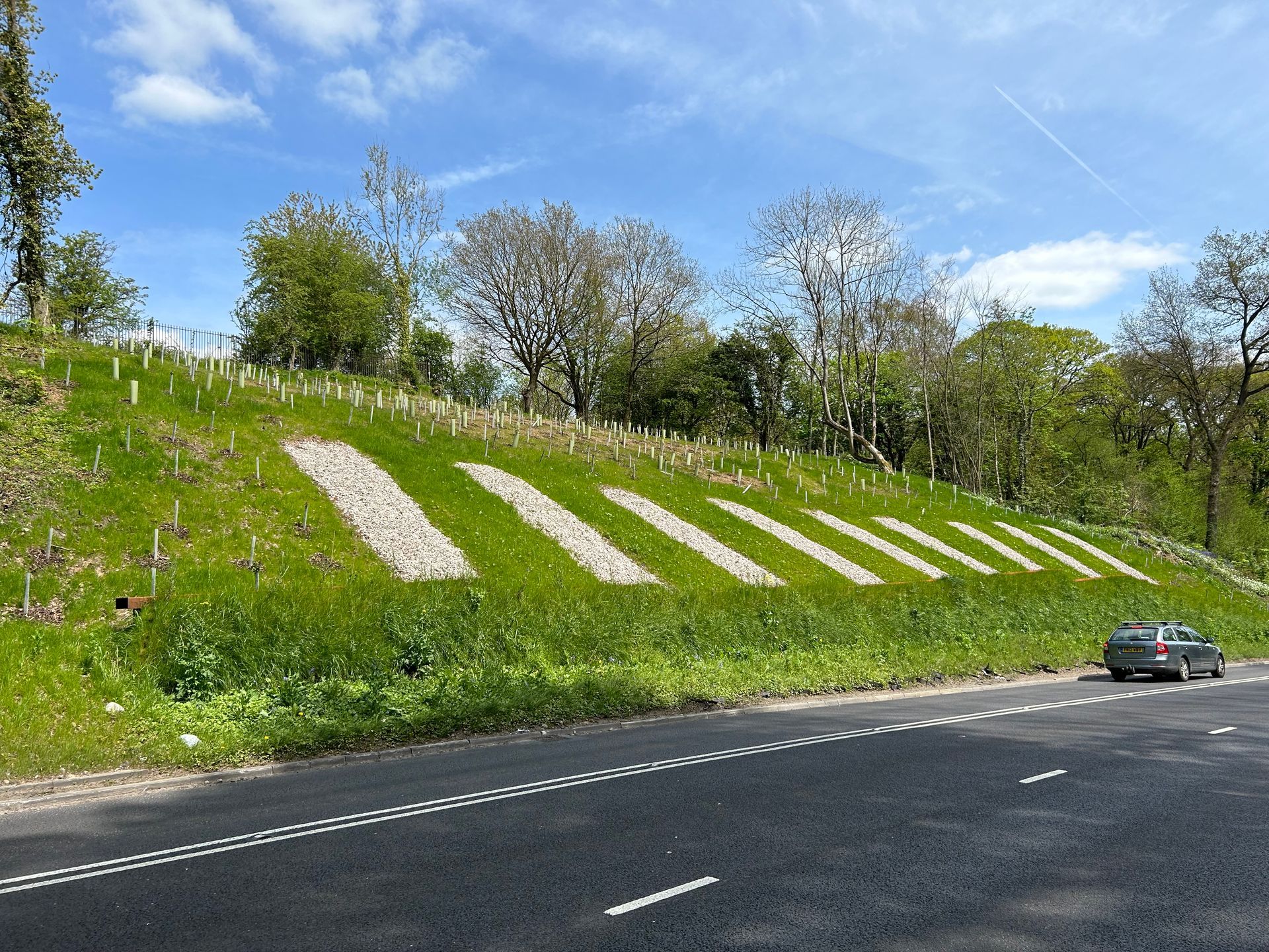 Hydroseeding and planting of trees along an A road. 