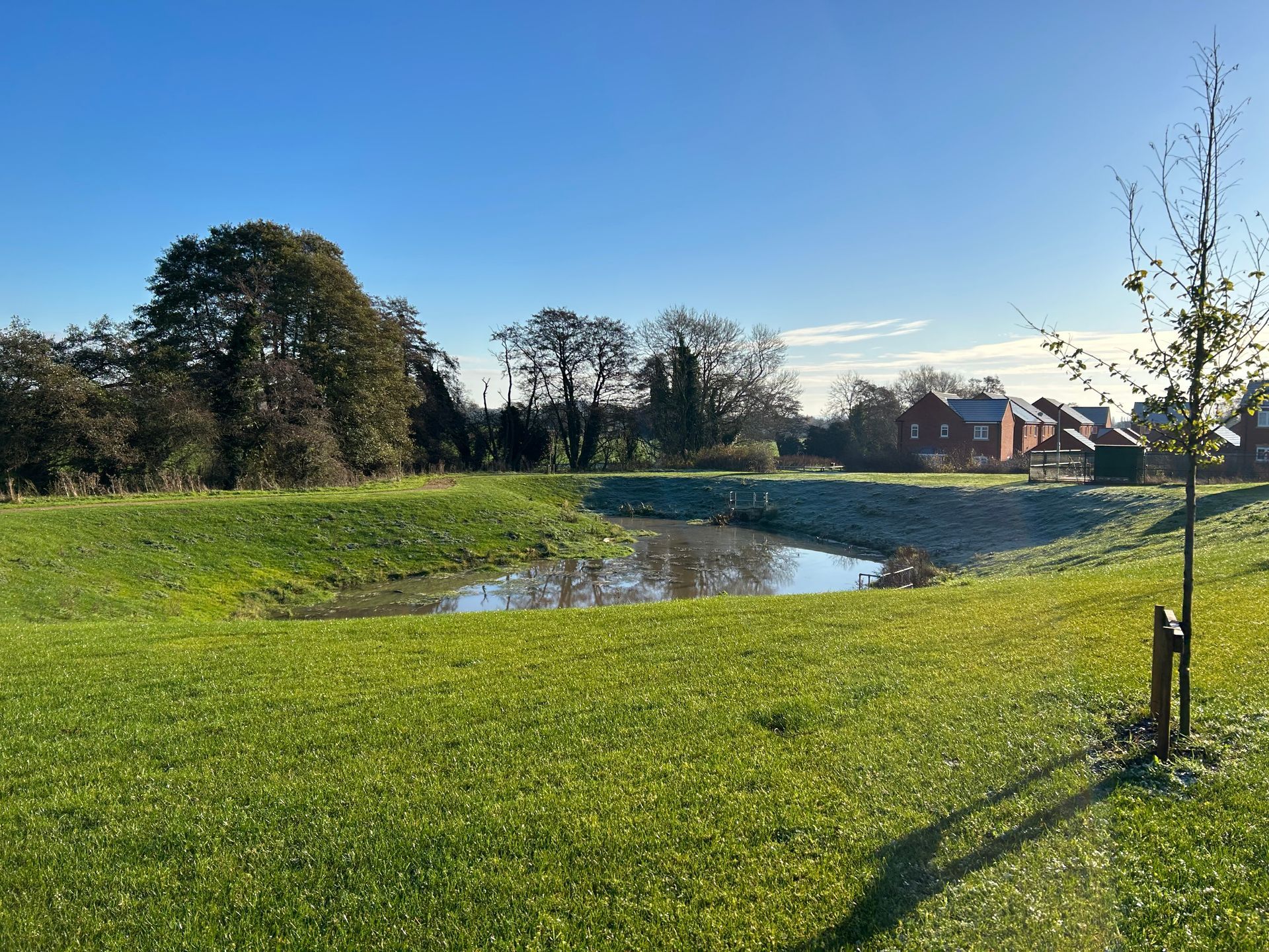 Successfully hydroseeded SUDS ponds, demonstrating excellent germination rates